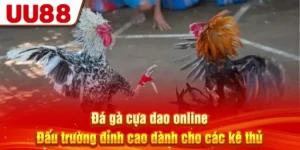 Đá Gà Cựa Dao Online - Đấu Trường Đỉnh Cao Cho Các Kê Thủ